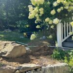 WhatsApp Image 2026-02-07 at 15.19.00 (2)