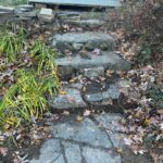 WhatsApp Image 2026-02-07 at 15.21.48 (2)