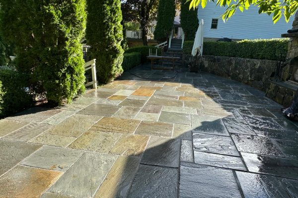 WhatsApp Image 2026-02-07 at 14.36.23